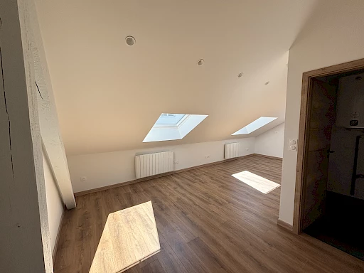 3 PIÈCES   41,10 M2 CARREZ   ENTIÈREMENT RÉNOVÉ